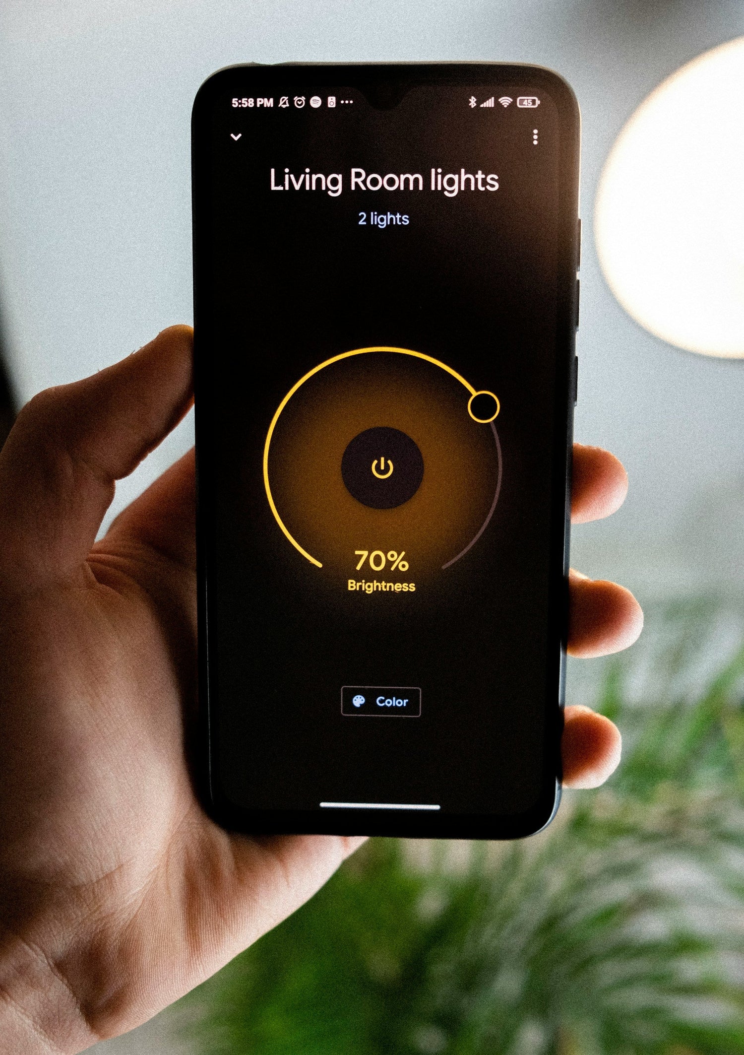 Lighting & Home Security