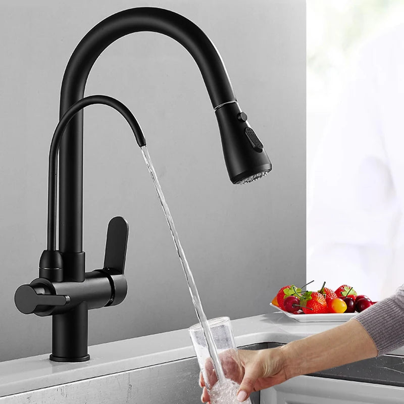 Myqualife Dual Handle Pull Out Kitchen Faucet For Pure Water