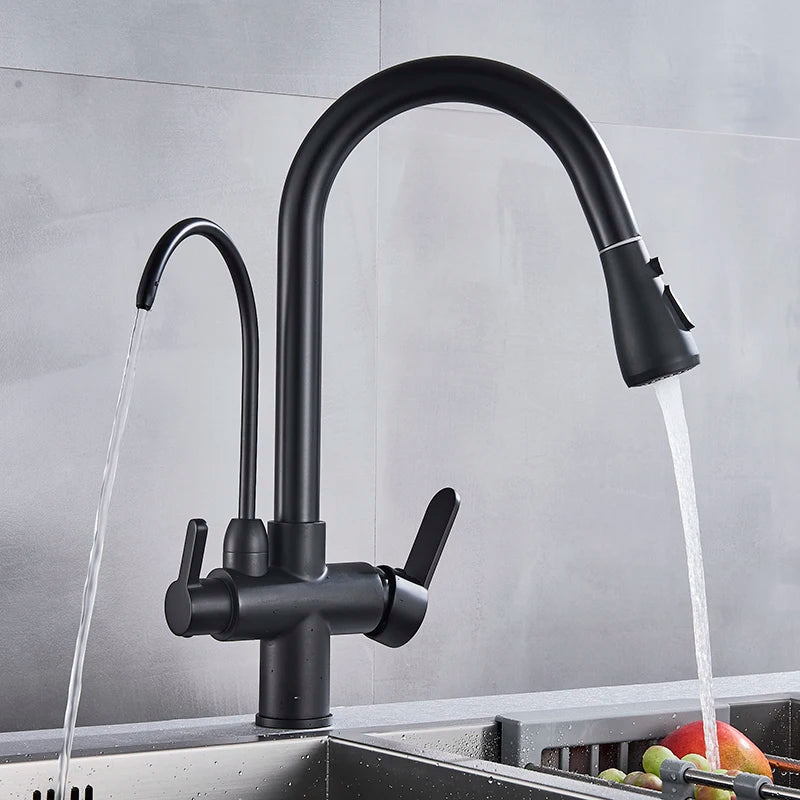 Myqualife Dual Handle Pull Out Kitchen Faucet For Pure Water
