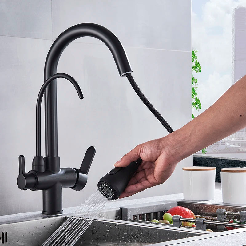 Myqualife Dual Handle Pull Out Kitchen Faucet For Pure Water