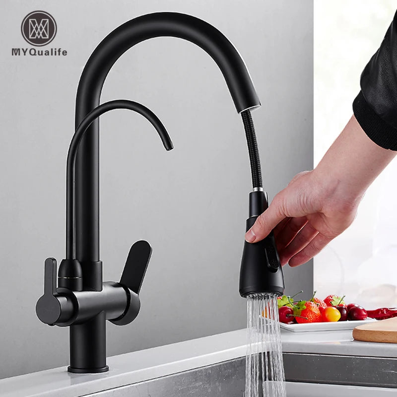Myqualife Dual Handle Pull Out Kitchen Faucet For Pure Water