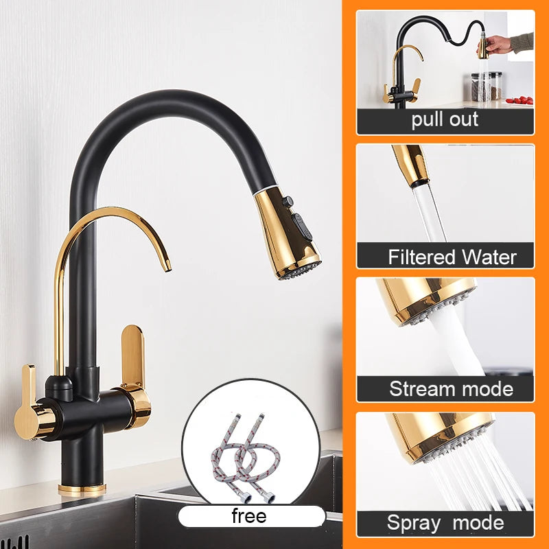 Myqualife Dual Handle Pull Out Kitchen Faucet For Pure Water