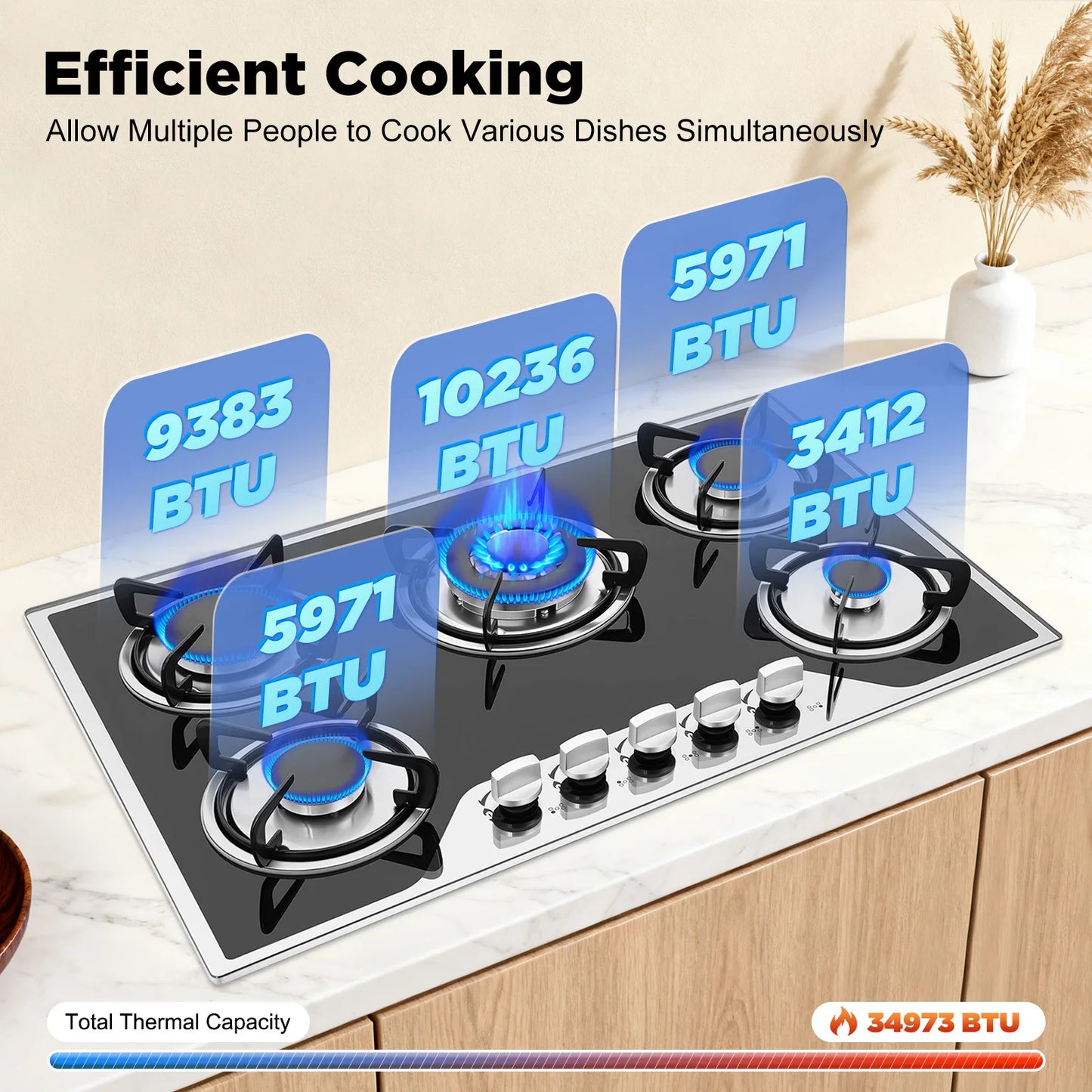Bymaocar 5 Burners Built In Gas Stove Dual Fuel NG LPG Convertible Hob